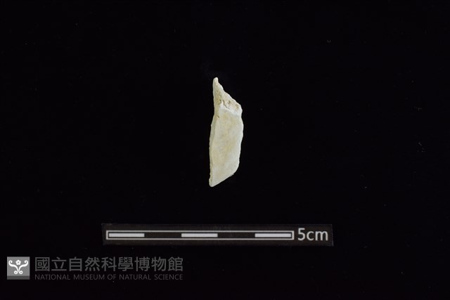 玉料藏品圖，第1張