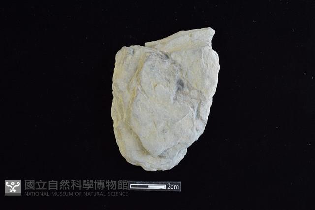 斧鋤形器藏品圖，第1張