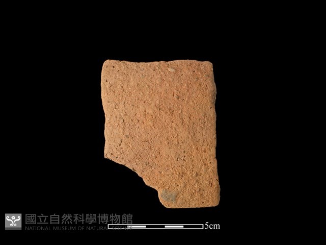 陶片藏品圖，第1張