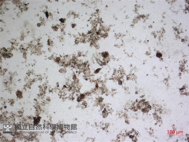 登錄號:A00004647藏品圖，第2張