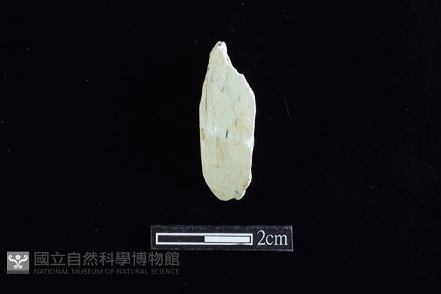 錛鑿形器藏品圖，第1張