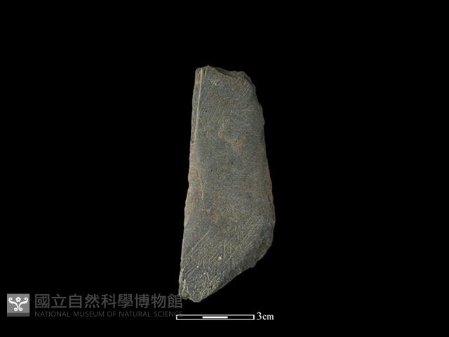 磨製有刃石器藏品圖，第1張