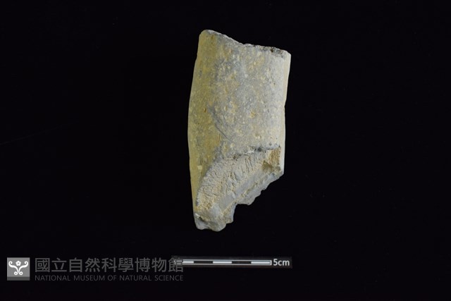 石鎚藏品圖，第1張