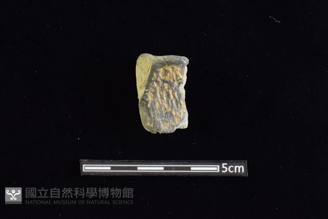 陶罐藏品圖，第1張