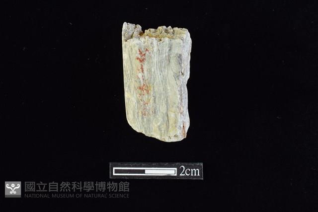 錛鑿形器藏品圖，第2張
