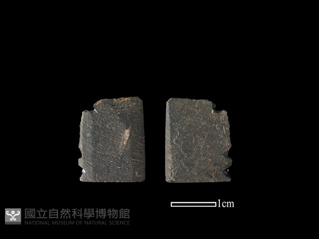 矛鏃形器藏品圖，第1張