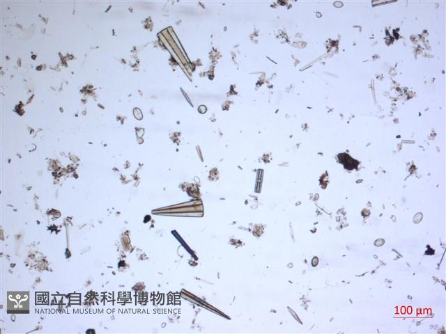 登錄號:A00004547藏品圖，第2張