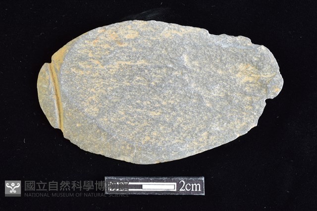 網墜藏品圖，第1張