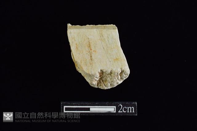 錛鑿形器藏品圖，第1張
