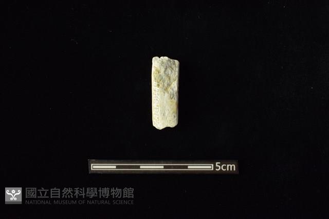 Accession Number:AA2019033447 Collection Image, Figure 1, Total 2 Figures