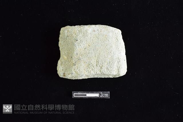 石器殘件藏品圖，第1張