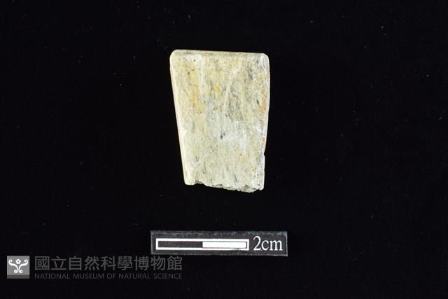 錛鑿形器藏品圖，第1張