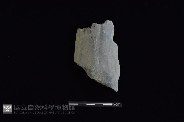 戈形器藏品圖，第1張