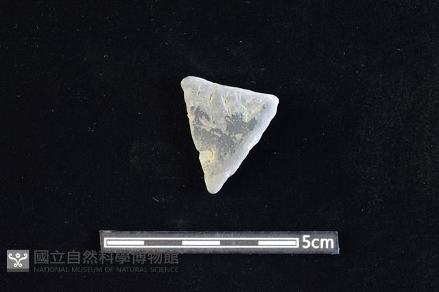 陶容器藏品圖，第1張