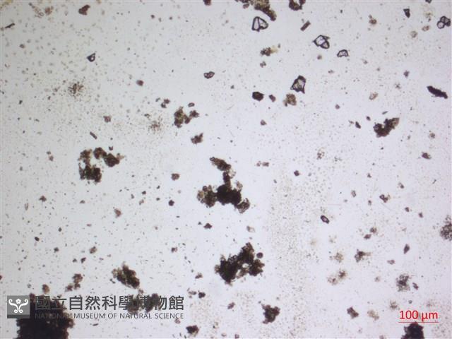 登錄號:A00004667藏品圖，第2張