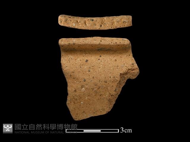 Accession Number:BY-2017-0667 Collection Image, Figure 1, Total 2 Figures