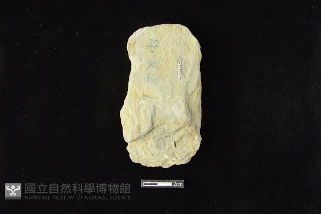 斧鋤形器藏品圖，第2張