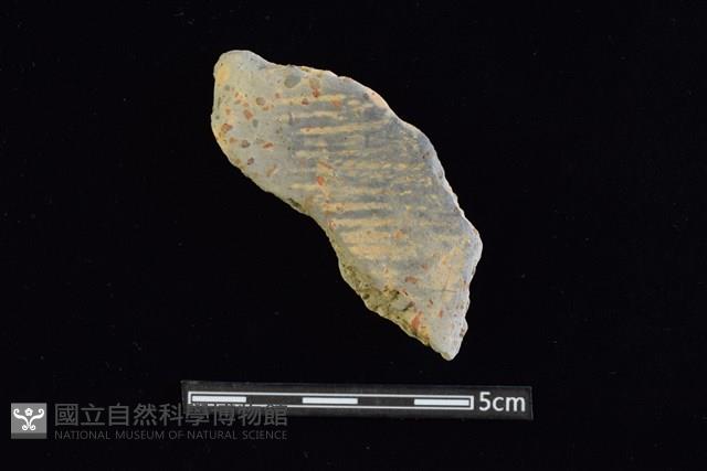 陶片藏品圖，第1張