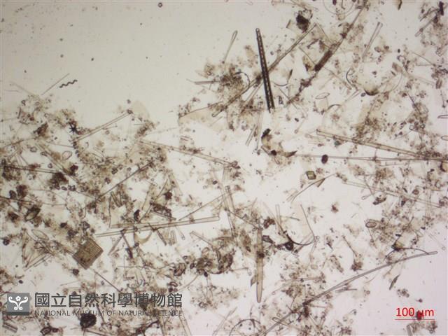 登錄號:A00004567藏品圖，第2張