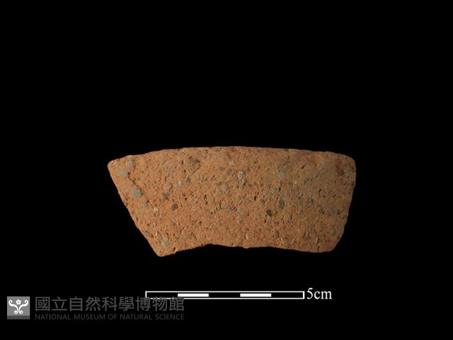 陶罐藏品圖，第1張