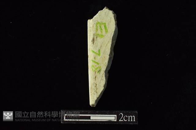 錛鑿形器藏品圖，第1張