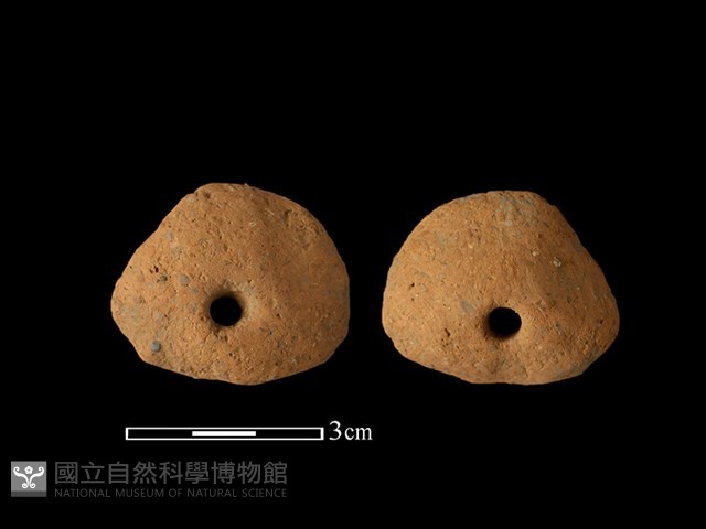 紡輪藏品圖，第1張