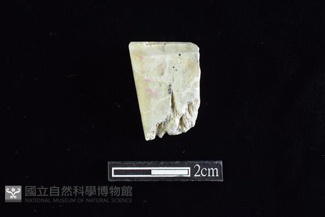 錛鑿形器藏品圖，第1張