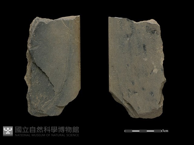 磨製斧鋤形器藏品圖，第1張