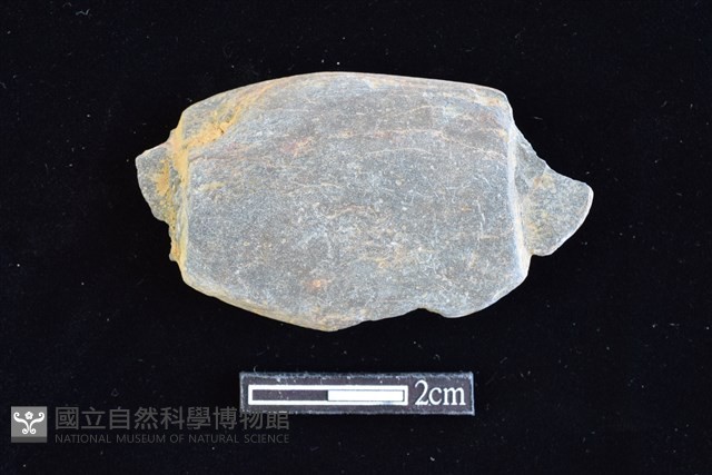 網墜藏品圖，第1張