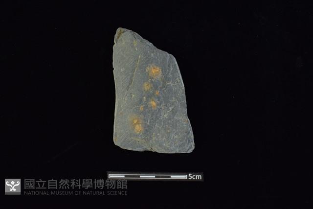 戈形器藏品圖，第1張