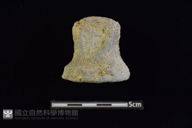 陶蓋及陶蓋鈕藏品圖，第1張