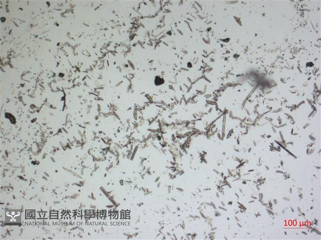 登錄號:A00004607藏品圖，第2張