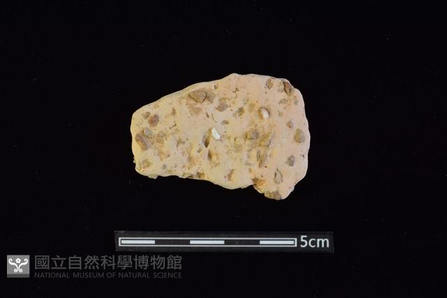 陶片藏品圖，第1張