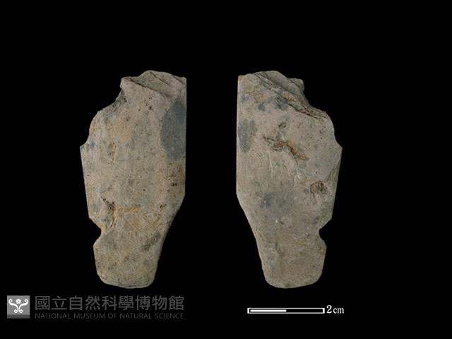 矛鏃形器藏品圖，第1張