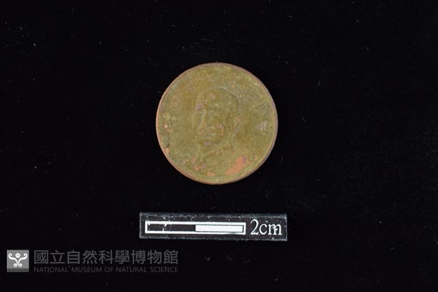 錢幣藏品圖，第1張