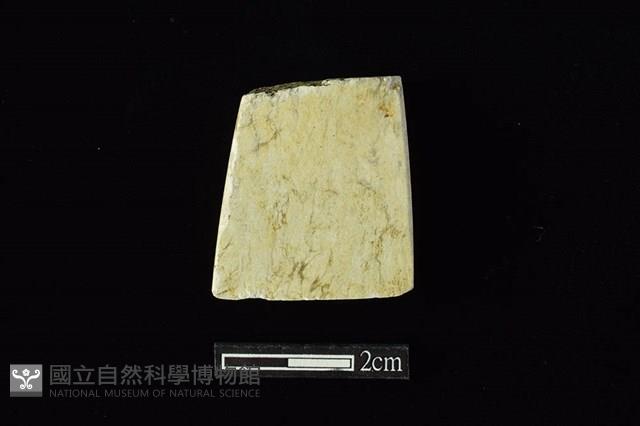 錛鑿形器藏品圖，第2張