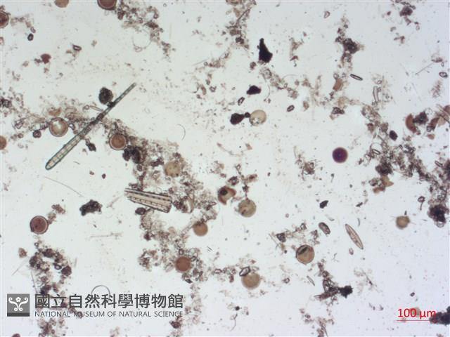登錄號:A00004507藏品圖，第2張