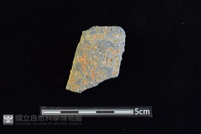 陶缽藏品圖，第1張