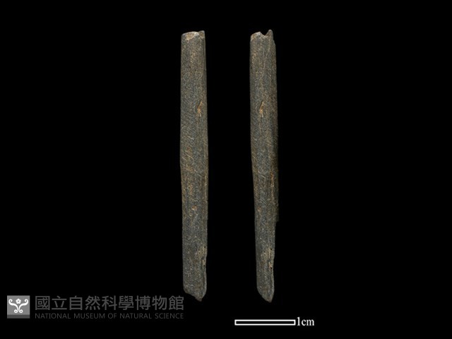 磨製石棒藏品圖，第1張