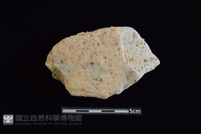 陶片藏品圖，第1張