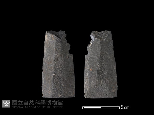 矛鏃形器藏品圖，第1張