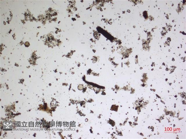 登錄號:A00004587藏品圖，第2張