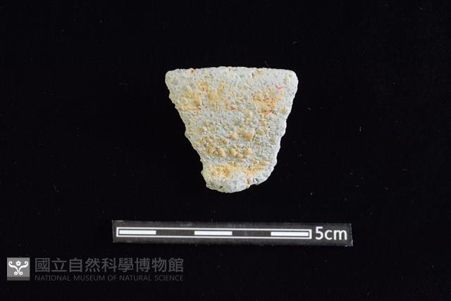 陶罐藏品圖，第1張