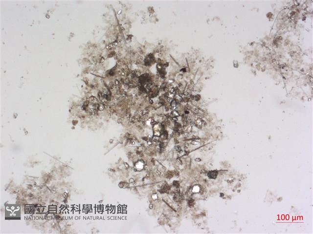 登錄號:A00004487藏品圖，第2張