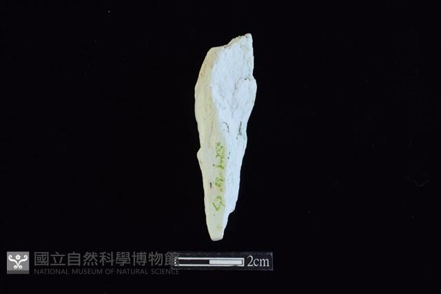 錛鑿形器藏品圖，第1張