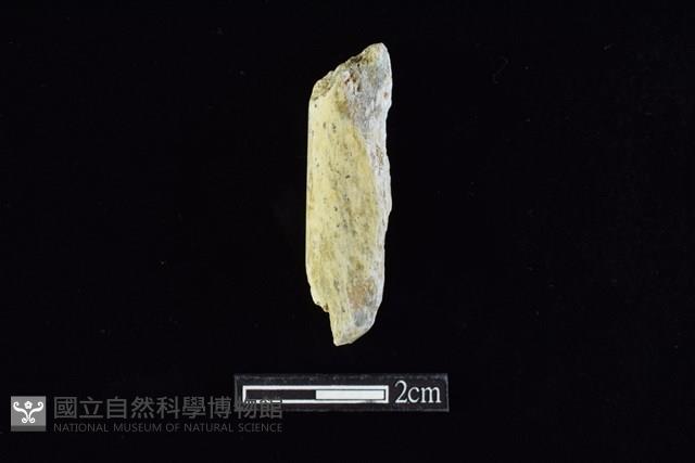 錛鑿形器藏品圖，第1張