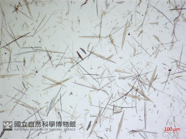登錄號:A00004635藏品圖，第2張