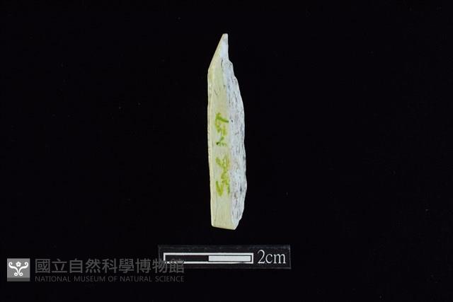 錛鑿形器藏品圖，第2張