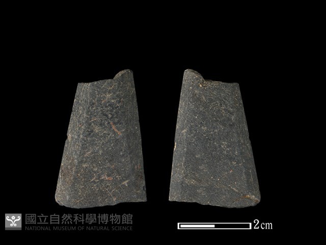 矛鏃形器藏品圖，第1張