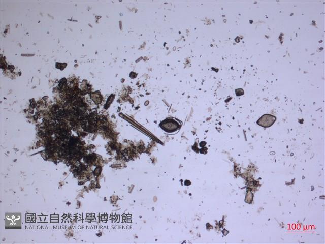 館號:A00004535藏品圖，第2張